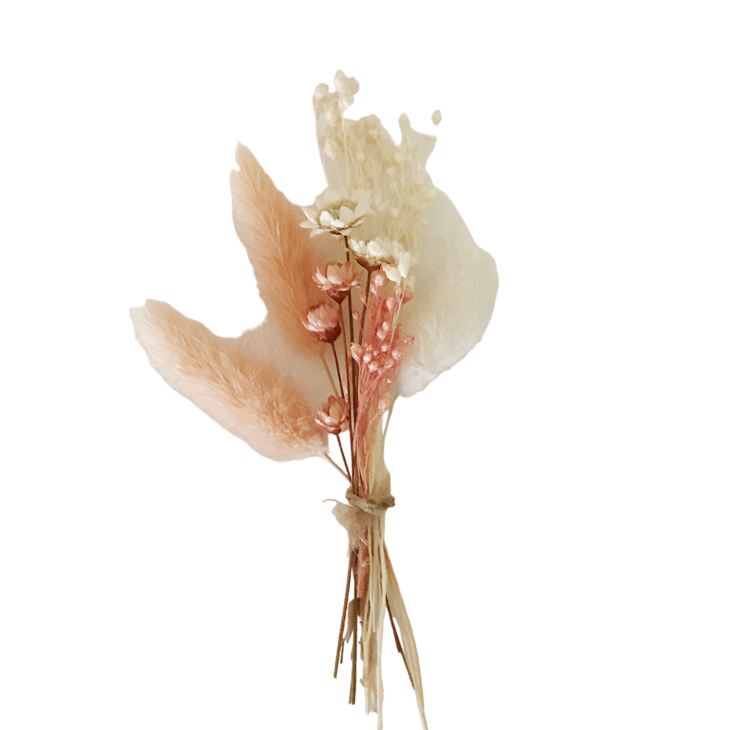 Baby peach droogboeket 12cm - per 12 stuks