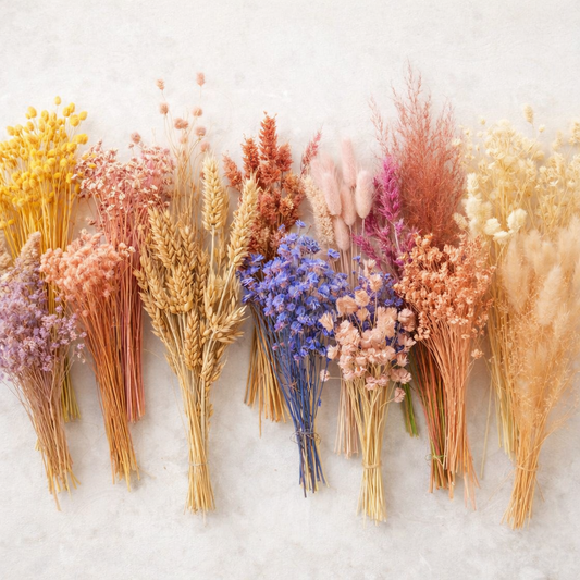 Droogbloemen