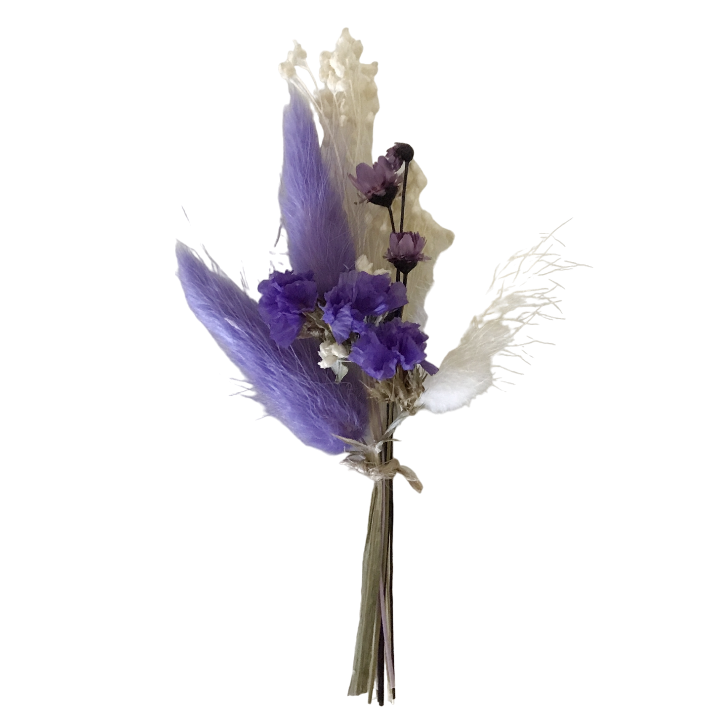 Baby lavendel light droogboeket 12cm - per 12 stuks