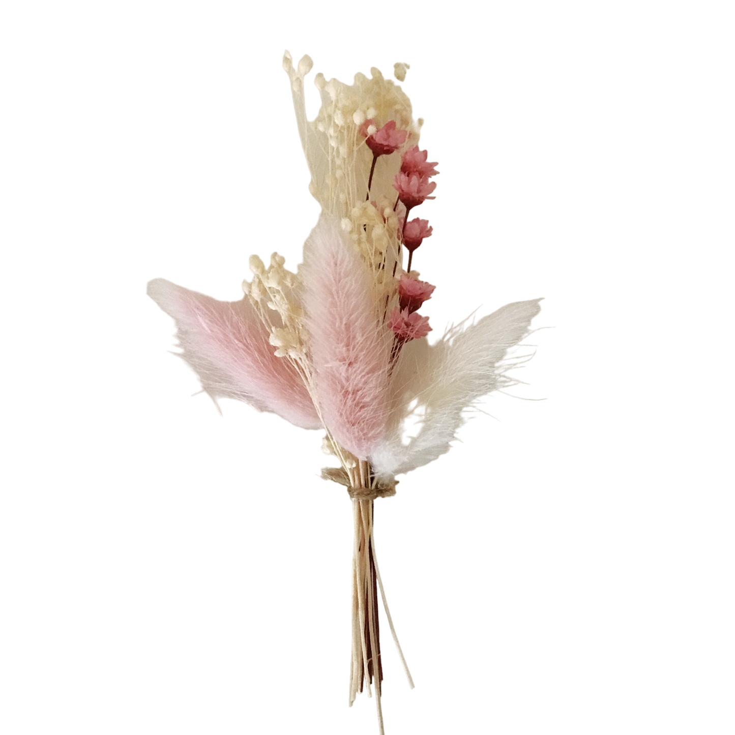 Baby rose droogboeket 12cm - per 12 stuks