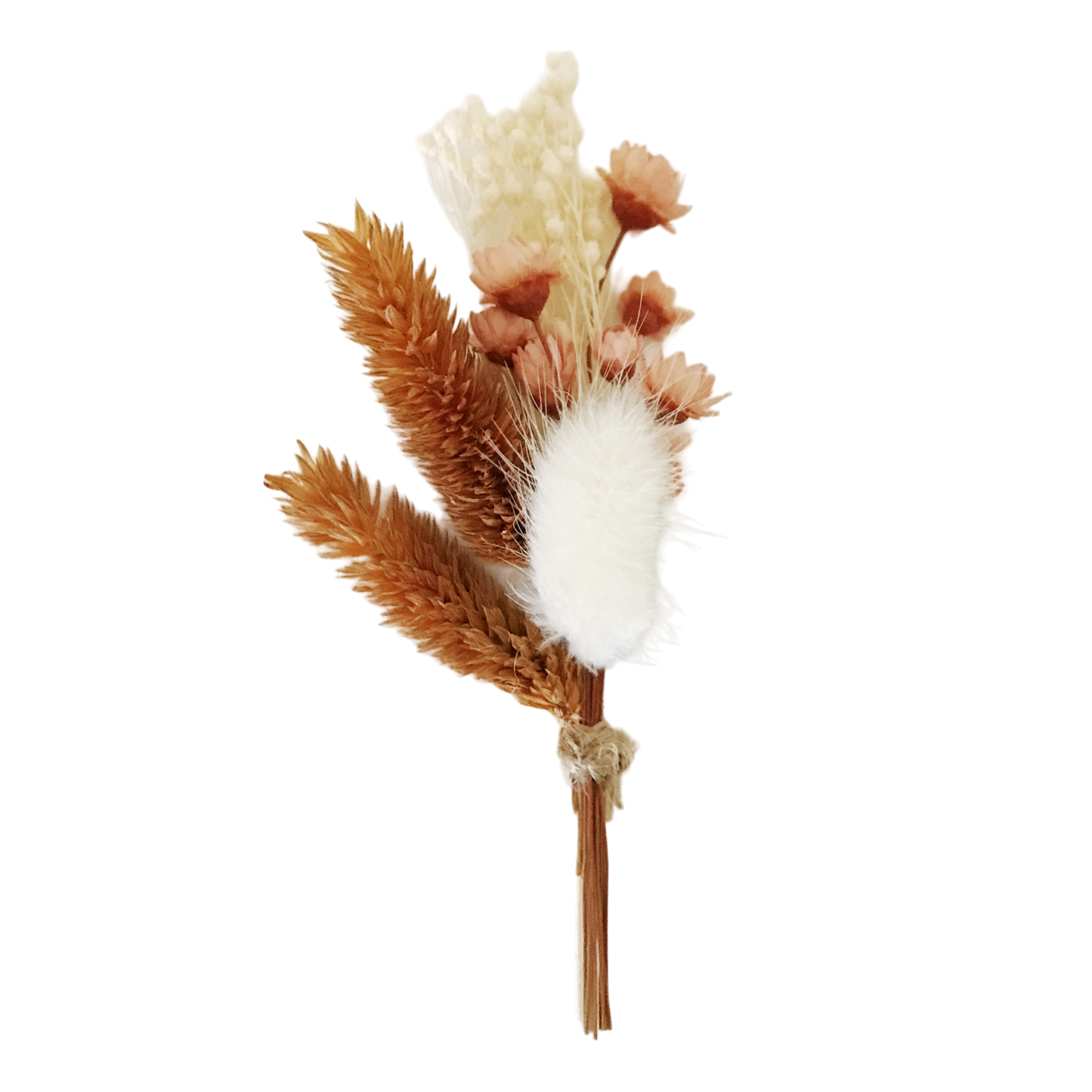 Baby rust droogboeket 12cm rust - per 12 stuks